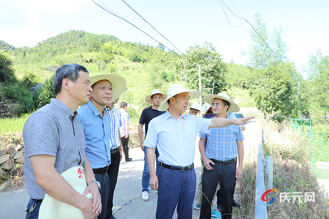 市人大常委会副主任杜光旻带队到庆调研“大搬快聚富民安居”工程实施情况  