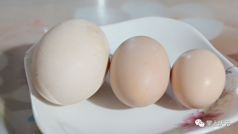 鸡蛋中的plus！庆元竹口一农户家中母鸡产下155克超大鸡蛋  